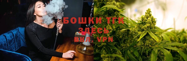 твердый Алексин