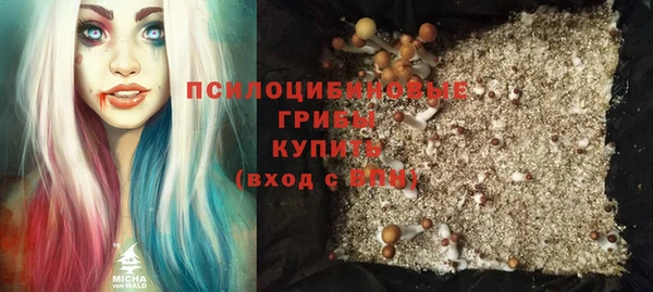 твердый Алексин